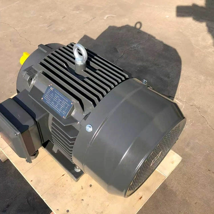 Three Phase Induction Motor factory